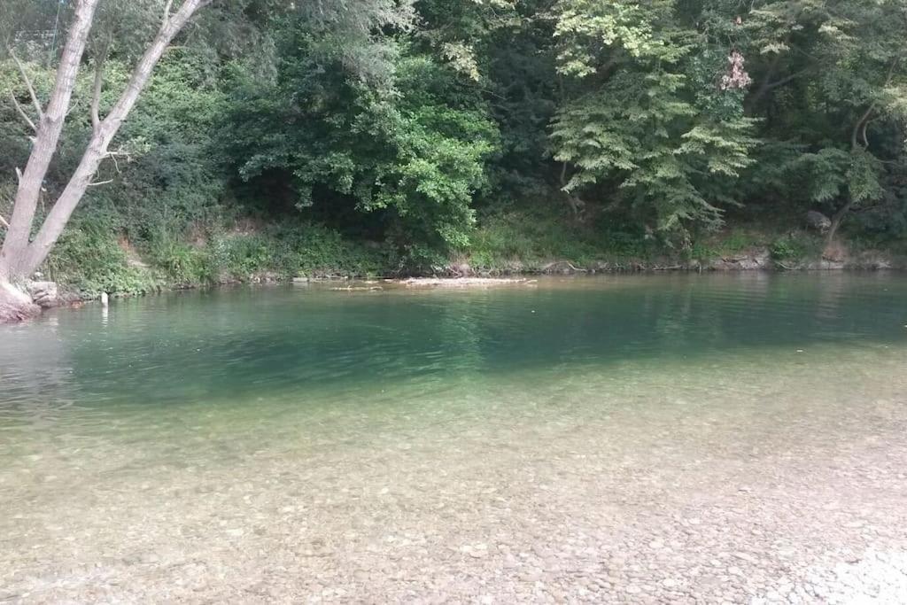 Appart Dans Maison 2 Km De La Plage Villeneuve-Loubet Eksteriør billede